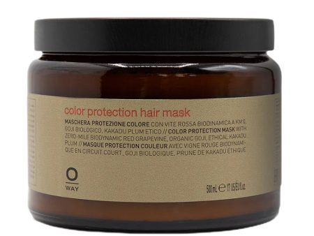 Color Protection Hair Mask ochronna maska do włosów farbowanych 500ml Online