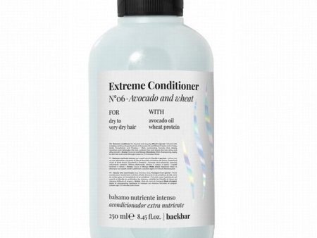 Extreme Conditioner No.06 ekstremalna odżywka do włosów suchych i bardzo przesuszonych 250ml Online